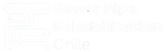 Sewer Pipe Rehabilitation Chile